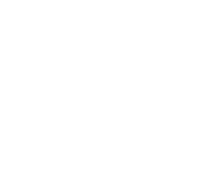 SIRDOZ